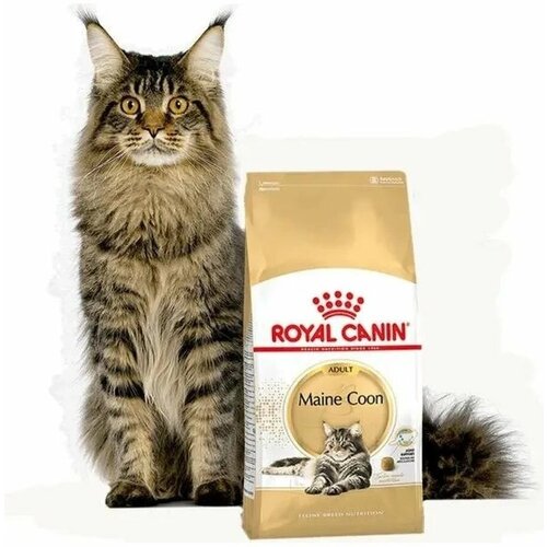 Корм Royal Canin MAINE COON Специальное питание для кошек породы мейнкун, а также для кошек крупных размеров: сибирской, норвежской лесной и других, в возрасте от 15 месяцев и старше, 2кг фото