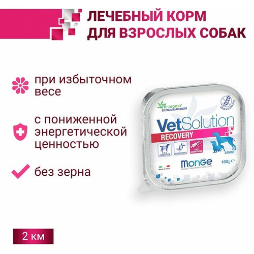 Ветеринарная диета Monge VetSolution Dog Recovery влажный корм Рекавери для собак при восстановлении питания в период выздоровления 150 г, 12 шт. фото