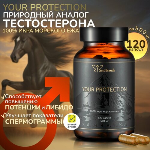 YOUR PROTECTION - 100% икра морского ежа. Единственный в своем роде. (120 капсул) фото