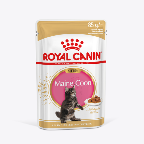 Корм Royal Canin для котят породы Мэйн Кун в возрасте до 15 месяцев MAINE COON KITTEN (мейн КУН киттен), мелкие кусочки в соусе, 28х85г фото