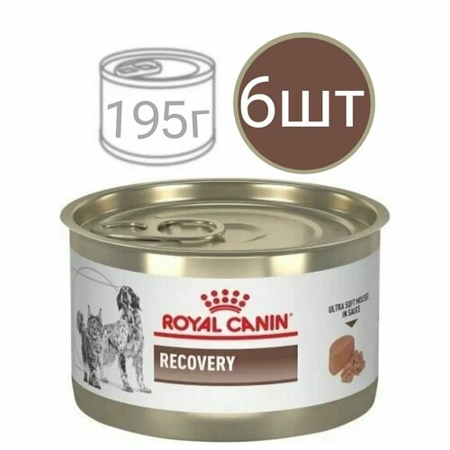 Влажный корм для кошек и собак , Royal Canin Recovery , в период восстановления после операции (6шт по 195г) фото