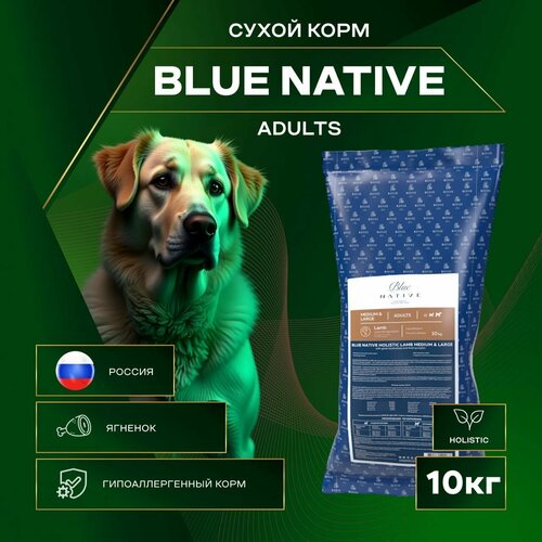 Сухой корм BLUE NATIVE HOLISTIC LAMB, для собак средних и крупных пород, нежный ягненок 10 кг фото