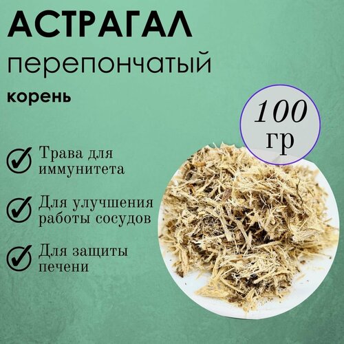 Астрагал перепончатый корень, средняя фракция, 100г фото