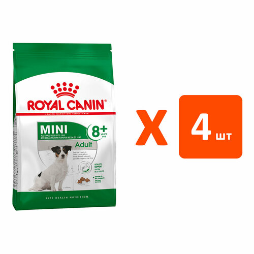 ROYAL CANIN MINI ADULT 8+ для пожилых собак маленьких пород старше 8 лет (4 кг х 4 шт) фото