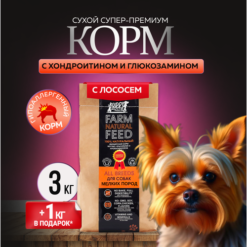 Сухой корм для собак мелких пород Buddy Dinner Orange Line Hypoallergenic с лососем 3 кг + 1 кг в подарок фото