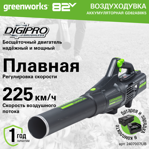 Воздуходув аккумуляторный Greenworks Арт. 2407007UB, 82V, бесщеточный, с 1хАКБ 5 Ач и ЗУ фото