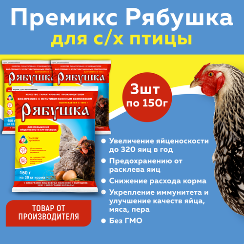 Комплект Премикс Рябушка для кур 0,5% 150г, 3 штуки фото