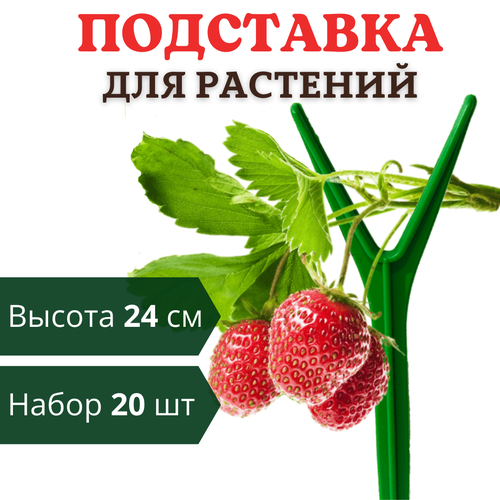 фото Благодатный мир Подставка для клубники h 24 см, 20 шт., купить за 564 руб онлайн