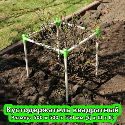 Кустодержатель 