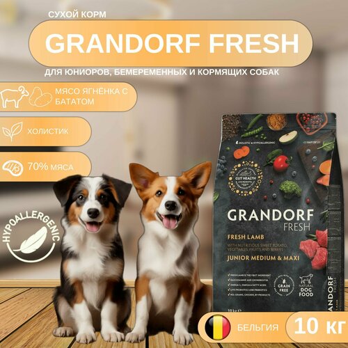 Сухой корм GRANDORF Fresh DOG JUNIOR Lamb&Sweet Potato для юниоров из свежего мяса ягненка с бататом, 10 кг фото