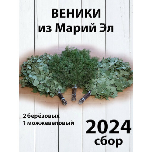 Комплект веников для бани, 2 березовых и можжевеловый из Марий Эл сбор 2024 фото