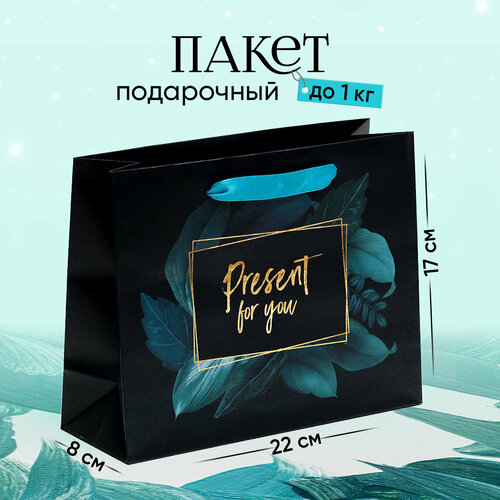 Пакет подарочный «Present for you», 22 х 17.5 х 8 см фото