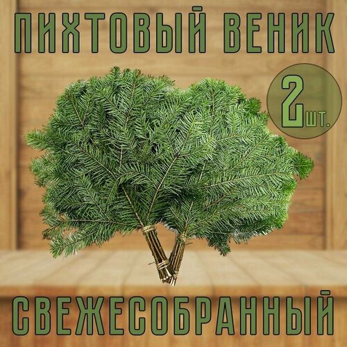 Веник Пихтовый свежесобранный для бани 2шт. фото