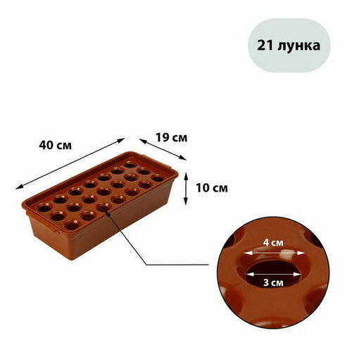 Ящик для выращивания зелёного лука, 40 x 19 x 10 см, 21 лунка, пластик, красный фото