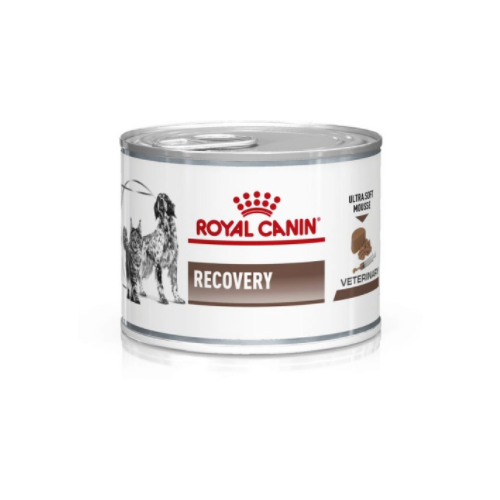 Влажный корм для собак Royal Canin Recovery в период восстановления после операции 1 уп. х 1 шт. х 195 г фото