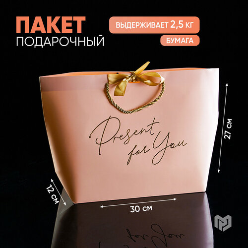 Пакет подарочный ламинированный с бантом «Present for you», 30 х 27 х 12 см фото