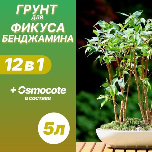 Грунт для Фикуса Бенджамина 5л / Бионика фото