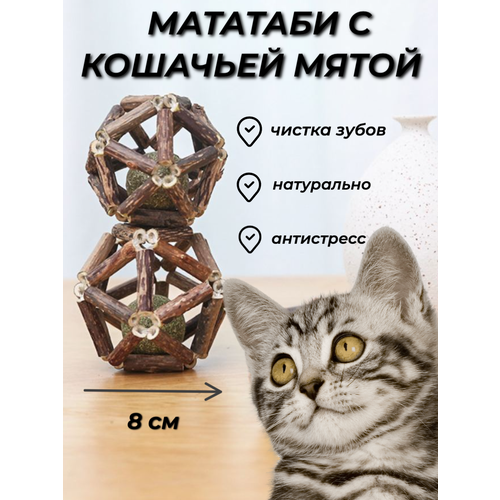 Шарик кошачья мята с мататаби, игрушка антистресс, шарик с мятой и палочками мататаби большой 8 см фото