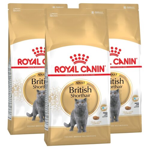 Сухой корм для кошек Royal Canin для британских короткошерстных 3 шт. х 2000 г фото