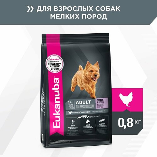 EUKANUBA ADULT SMALL BREED 800 гр сухой корм для взрослых собак мелких пород 3шт фото