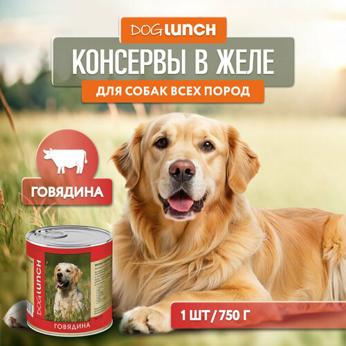 Влажный корм для собак Dog Lunch говядина 1 уп. х 1 шт. х 750 г фото