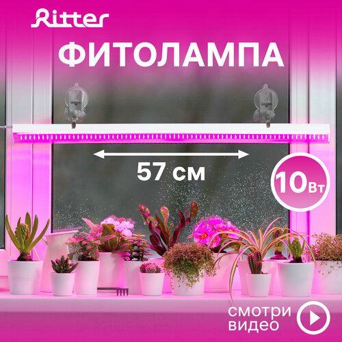 Фитолампа светодиодная для растений Т5 Ritter PLANTA, 10Вт, 573х21х35мм, провод 2м, выключатель на корпусе, цвет белый, фитосветильник для рассады линейный, светильник для комнатных цветов, 56296 2 фото