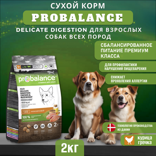 Сухой корм ProBalance Delicate Digestion для собак с курицей и гречкой, для профилактики нарушения пищеварения, 2 кг фото