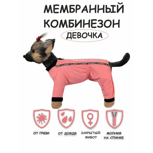 Комбинезон для собак Мартин Dogmoda девочка коралловый 2 фото