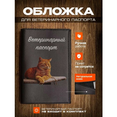 Обложка на ветеринарный паспорт для кошек с принтом рыжая кошка фото