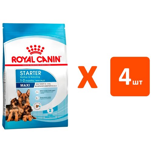 ROYAL CANIN MAXI STARTER для щенков крупных пород до 2 месяцев, беременных и кормящих сук (4 кг х 4 шт) фото