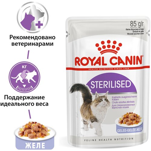 Влажный корм желе для кошек Royal Canin Sterilised (Стерилайзд) для стерилизованных кошек в возрасте от 1 до 7 лет, 24x0.085кг фото