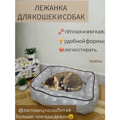 Лежанка для собак и кошек прямоугольная, 40*50 см, серая с розовыми лапками фото