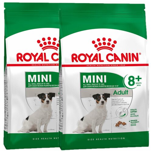 ROYAL CANIN MINI ADULT 8+ для пожилых собак маленьких пород старше 8 лет (4 + 4 кг) фото