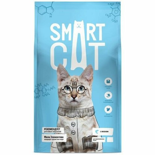 SmartCat Сухой корм для стерилизованных кошек с лососем, 0.4 кг фото