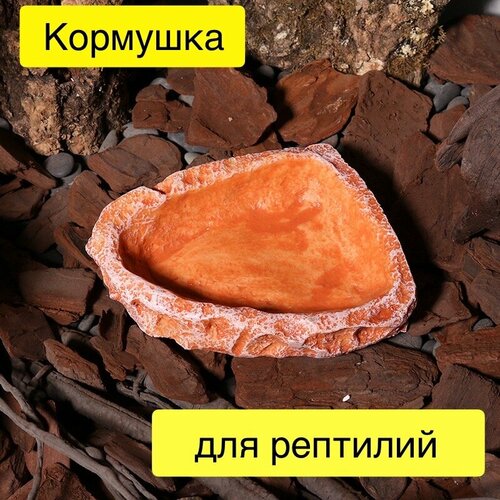 Кормушка поилка для ящериц, пауков, игуан, хамелеонов, рептилий и черепах для террариума и аквариума фото