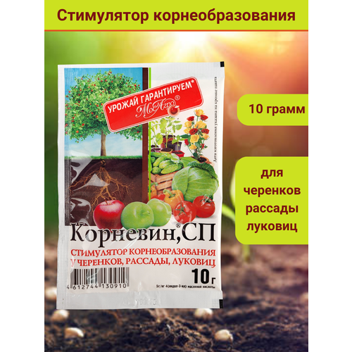 Корневин, стимулятор образования и роста корней, в комплекте 1 упаковка по 10 г. фото