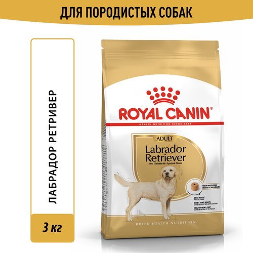 Корм для собак Royal Canin Labrador Retriever (Лабрадор Ретривер Эдалт) Корм сухой для взрослых собак породы Лабрадор Ретривер от 15 месяцев, 3 кг фото