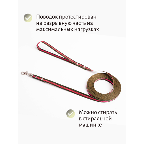 Поводок Хвостатыч для собак нейлоновый классический 1,5 м х 10 мм (зелено-красный) фото