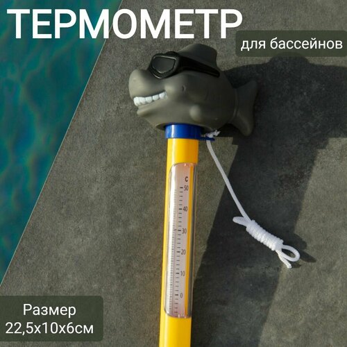 Термометр плавающий для бассейнов 22,5х10х6см, арт. Sun24048 акула фото