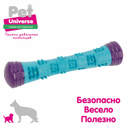 Игрушка для собак Pet Universe Многофактурная жевательная палочка с шипами 23х5 см, 125 гр ТПР, PU3069 фото