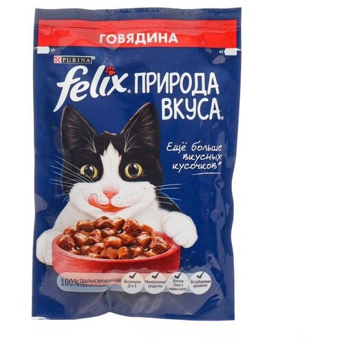 Влажный корм для взрослых кошек Felix Природа вкуса говядина 75г x 26шт фото