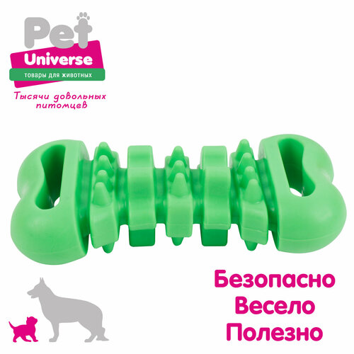 Игрушка для собак Pet Universe многофактурная косточка для жевания 12 см, ТПР, зелёный, PU3078GN фото