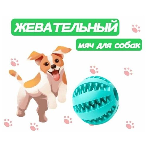 Жевательная игрушка мяч для собак и кошек, шарик для чистки зубов 5см фото