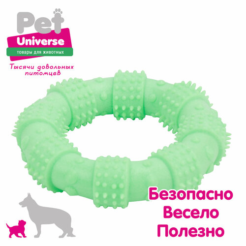 Игрушка для собак Pet Universe многофактурное кольцо с пупырышками 12х3 см, ТПР, зелёный, PU3062GN фото