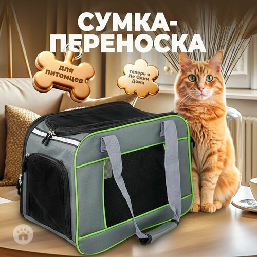 Сумка-переноска для животных, для кошек, для собак, 