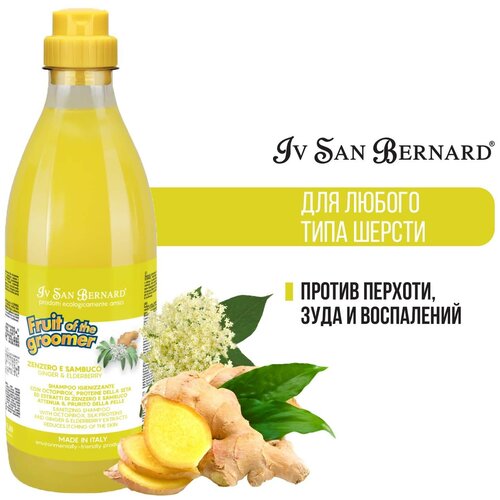 Iv San Bernard Fruit of the Grommer Ginger+Elderbery Шампунь для любого типа шерсти против раздражений и перхоти, 1 л фото