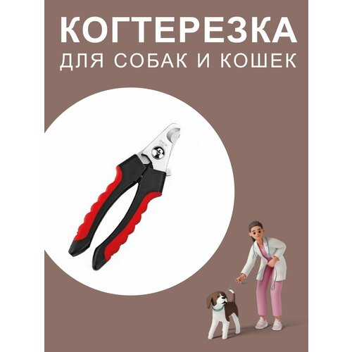 Когтерезка для кошек и собак. Когтерез для животных фото