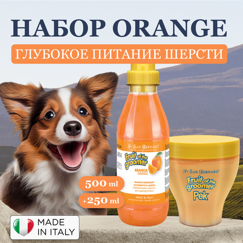 Выгодный набор шампунь для собак и маска Orange для глубокого питания шерсти с протеинами и экстрактом шёлка, Iv San Bernard, Италия, 500+250 мл фото