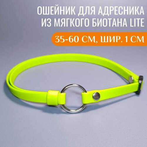 R-Dog Тонкий ошейник из мягкого биотана Lite для адресника, цвет зеленое яблоко, 35-60 см, ширина 1 см фото