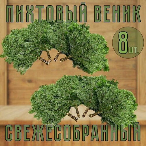 Веник Пихтовый свежесобранный для бани 8шт. фото